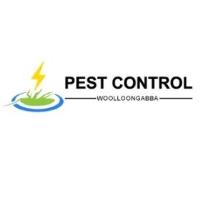 Pest Control Woolloongabba image 1